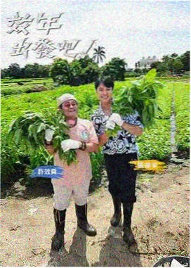 影视风云榜综艺海报